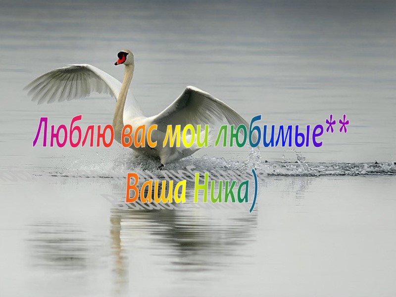 Люблю вас мои любимые** Ваша Ника)